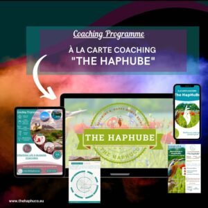 The HapHuBe - A la Carte